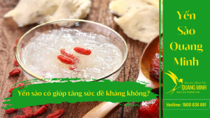 Yến Sào Giúp Tăng Sức Đề Kháng