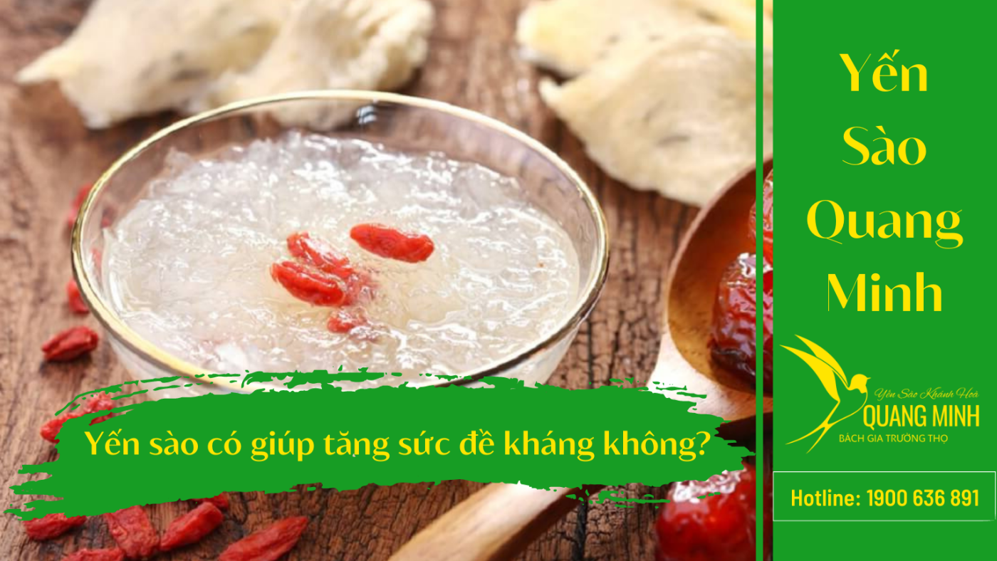 Yến Sào Giúp Tăng Sức Đề Kháng